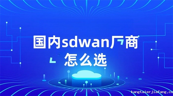 国内sdwan厂商怎么选 国内sdwan厂商怎么选